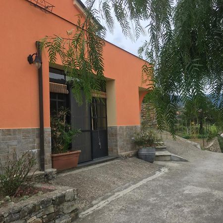 Apartamento Olivo Al Mare Dolcedo Exterior foto
