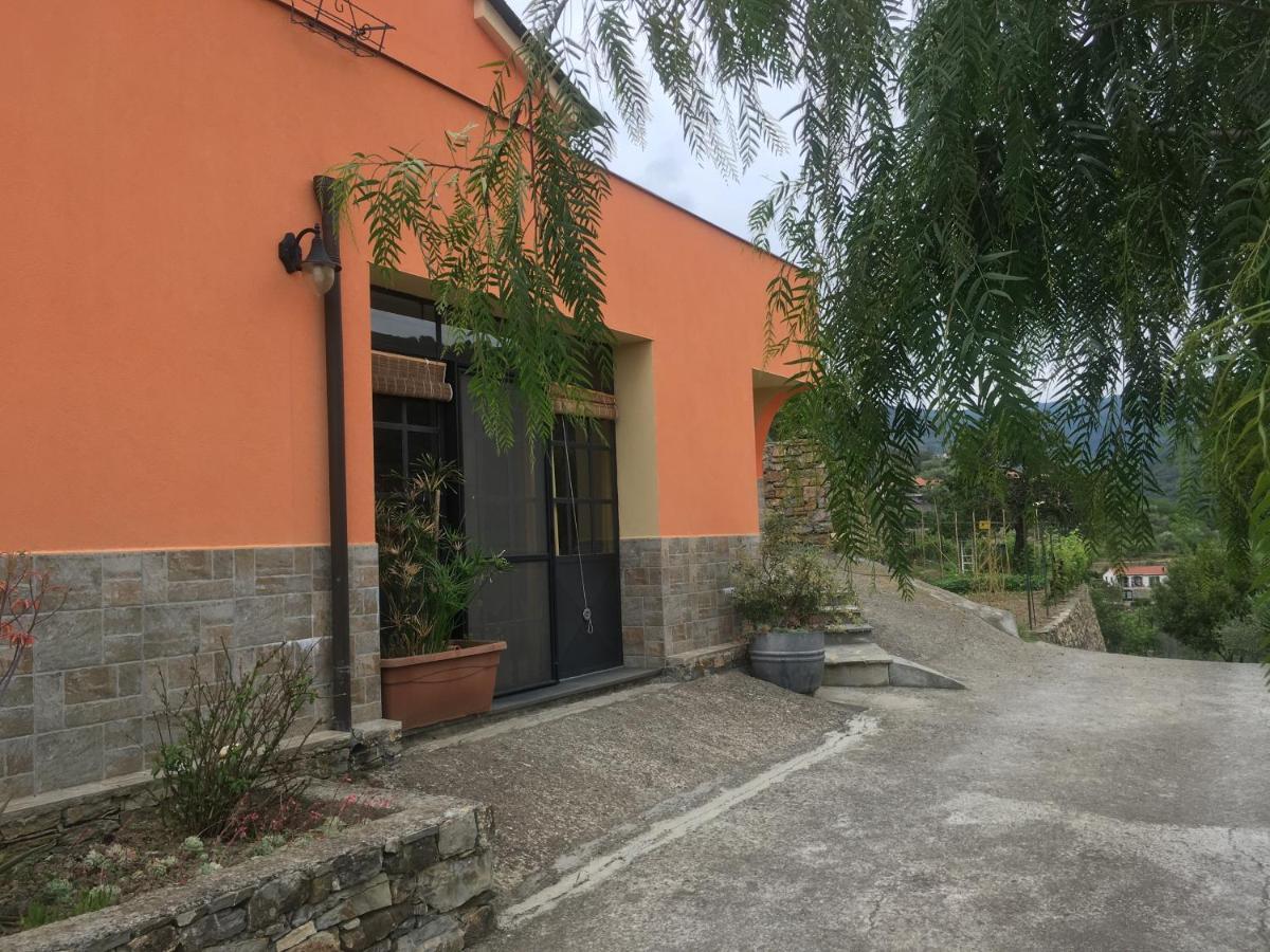 Apartamento Olivo Al Mare Dolcedo Exterior foto