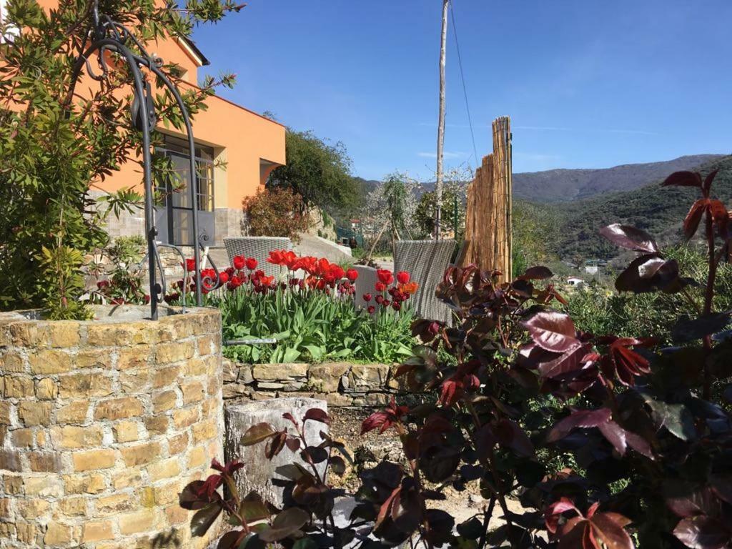 Apartamento Olivo Al Mare Dolcedo Exterior foto